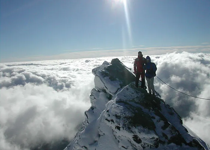 Trojerhof Guest house