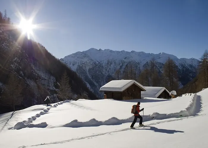 Guest house Trojerhof 3*