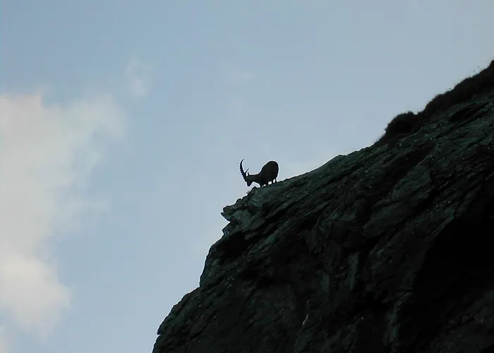 Guest house Trojerhof 3*